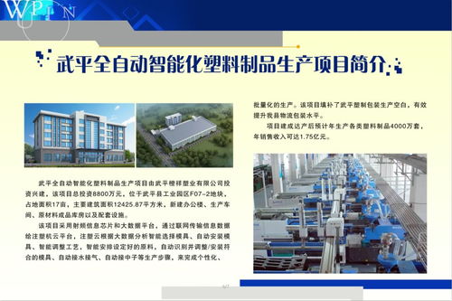 武平13個(gè)項(xiàng)目集中開(kāi)竣工 涉及民生事業(yè) 智能制造 文化旅游等領(lǐng)域