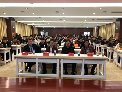 散墻辦組織召開(kāi)粵港模科新材料推介會(huì)