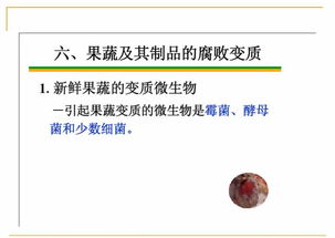 技術 食品的微生物污染及其控制